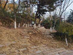 -石老人观光园