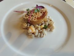 -大中华希尔顿酒店 念 全日制自助餐厅·亲子·聚餐