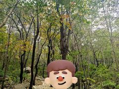 -封龙山风景区