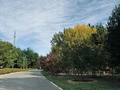 -永定河休闲森林公园