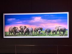 -罗红摄影艺术馆