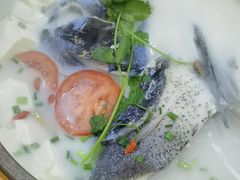 -全乐鱼馆·淳牌有机鱼直营店
