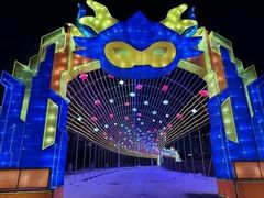 -沈阳奥体冰雪嘉年华