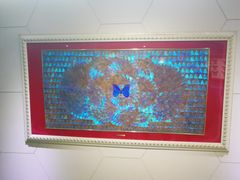 -上海昆虫博物馆