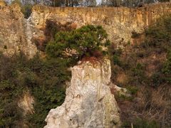 -彩色沙林风景区