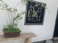 -稍可轩博物馆餐厅
