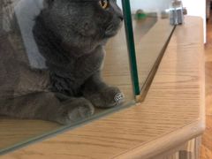 -Me Coffee下午茶艺术空间