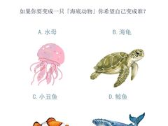 -观心实验室·心理咨询(上海旗舰店)