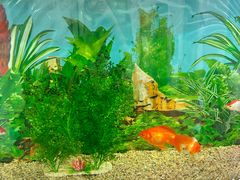 -慈铭体检(洋桥分院)