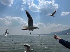 -海埂大坝