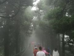 -南岳衡山风景名胜区