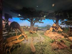 -国家自然博物馆