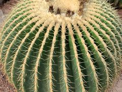 -南通洲际绿博园