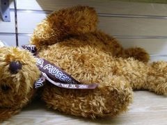 -成都泰迪熊博物馆