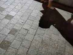 -南山文体中心-游泳馆