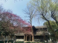 -乌镇景区