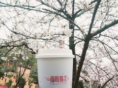 莲心露-鸡鸣赐茶(鸡鸣寺路店)