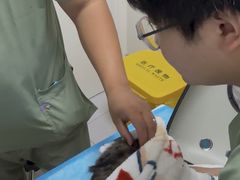 -达爱动物医院·犬猫分区·CT·复杂眼科(远洋山水分院)