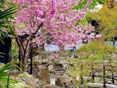 -惠山古镇·寄畅园