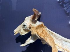 -生命奥秘博物馆