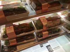 -山崎面包(静安久光店)