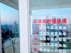 -爱洗澡的猫(望京店)