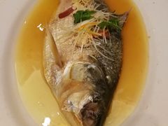 酒酿清蒸鲥鱼-席家花园(巨鹿花园店)