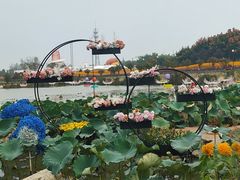 -荷兰花海