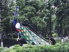 -成飞公园