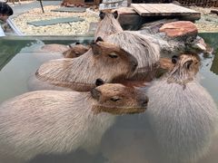 -郑州银基黄帝宫御温泉