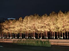 -无锡新湖铂尔曼大酒店