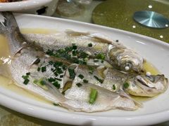 清蒸白水鱼-锡和无锡菜(景丽苑店)