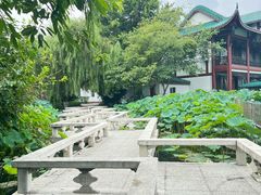 -桂湖森林公园