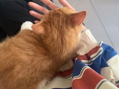 -平行世界·猫咖(首经贸店)