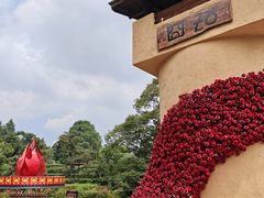 -云南民族村
