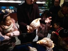 -青岛贝壳博物馆
