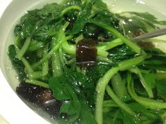 赠送的配汤-扬州狮子楼·非遗淮扬菜(总店)
