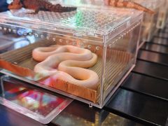 -万达广场(松江店)