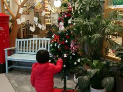 -猫的天空之城概念书店(印象城购物中心店)