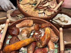 -蘑界·野生菌火锅(深业上城店)