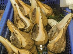 -吴记富苑(朝阳店)