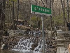 -牛背梁国家森林公园