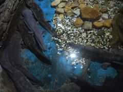 -多彩贵州城极地海洋世界