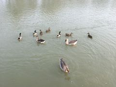 -西安浐灞国家湿地公园