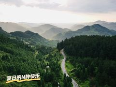 -重庆睡佛山森林公园