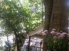android_upload_pic-新竹里馆·花园餐厅(兴苑路店)
