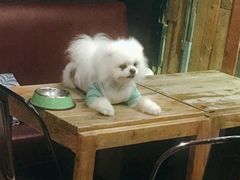 -M-3 PUB(创智天地店)