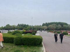 -丁香湖公园