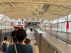 -武汉关码头(轮渡站)