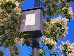 -国家植物园南园